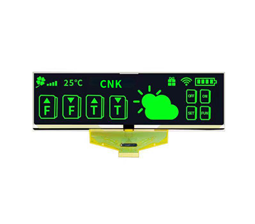 5.5 inch PMOLED Screen
